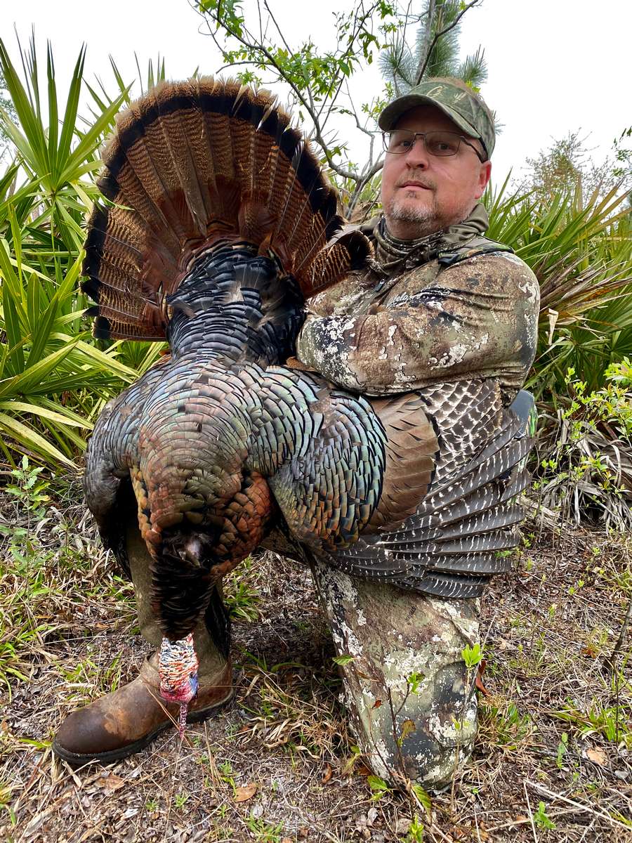 Lodging osceola turkey hunts